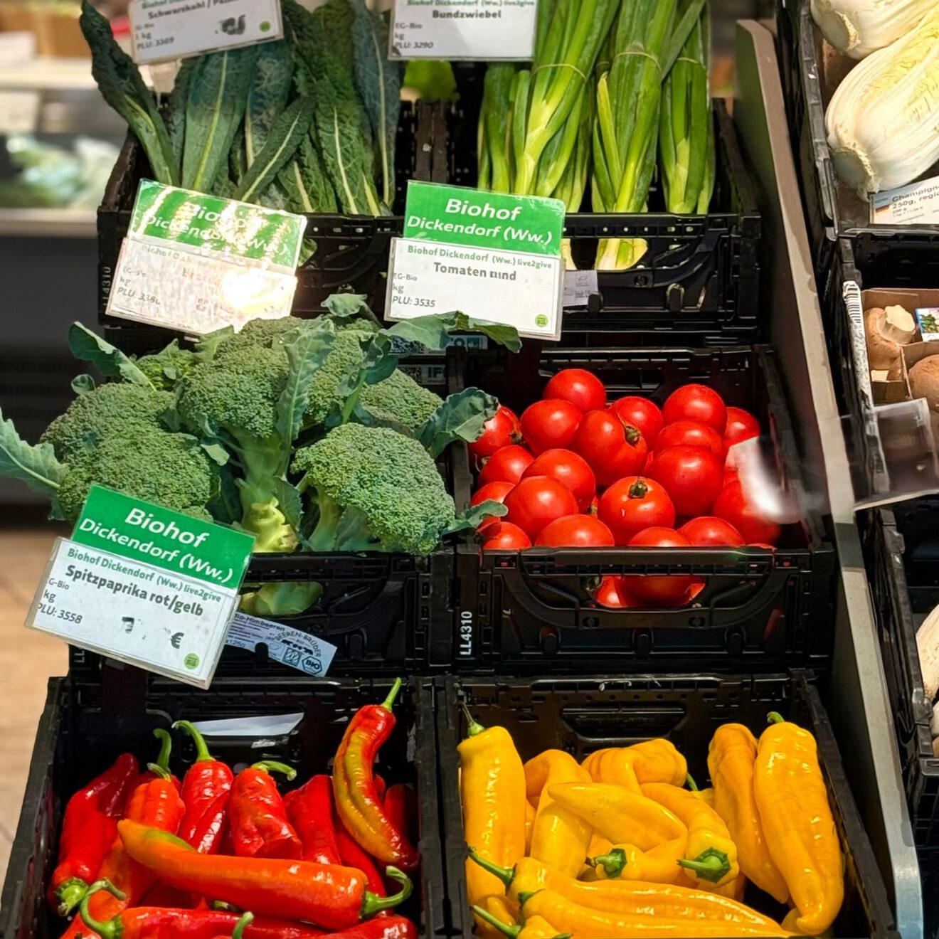 Biogemüse vom Biohof Dickendorf